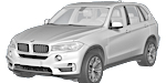 BMW F15 P1C9F Fault Code
